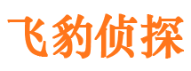 且末市侦探调查公司